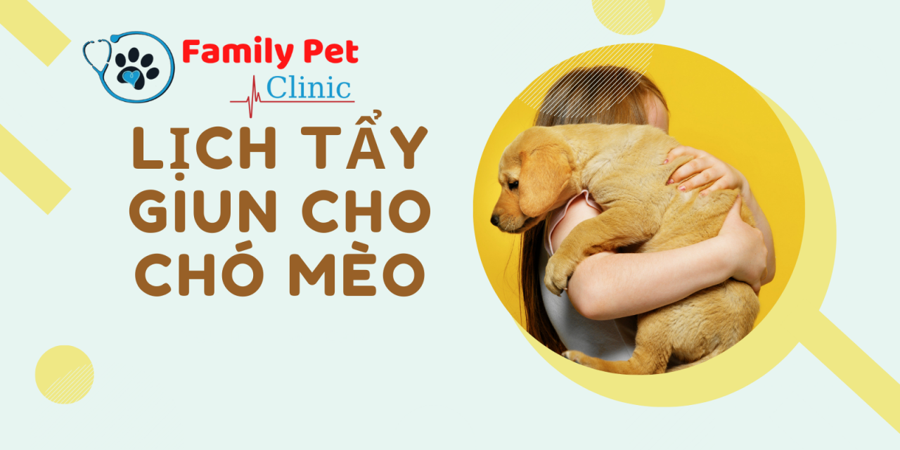 Lịch tẩy giun cho chó mèo